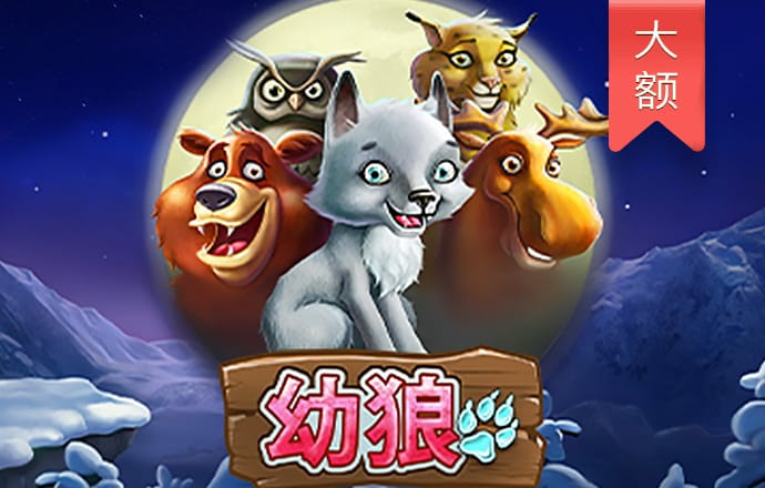 凯运体育下载app